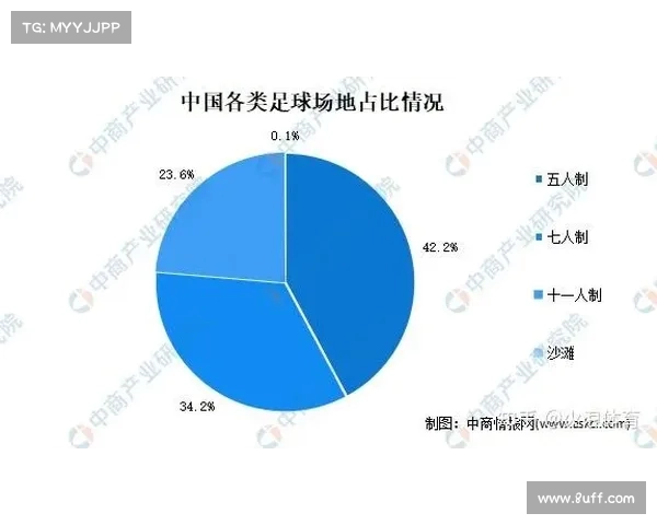 2025年足球转会市场竞争态势分析与未来趋势预测报告 2025年足球转会市场竞争态势分析与未来趋势预测报告