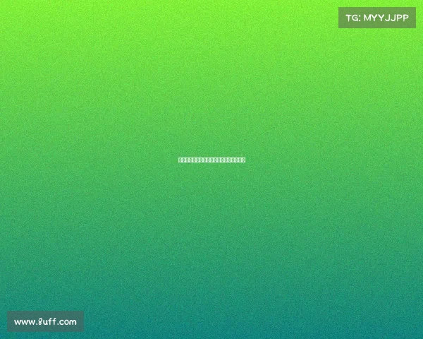 欧冠历届主办城市盘点与足球文化发展探析